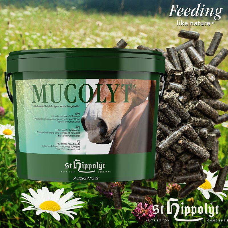 Mucolyt