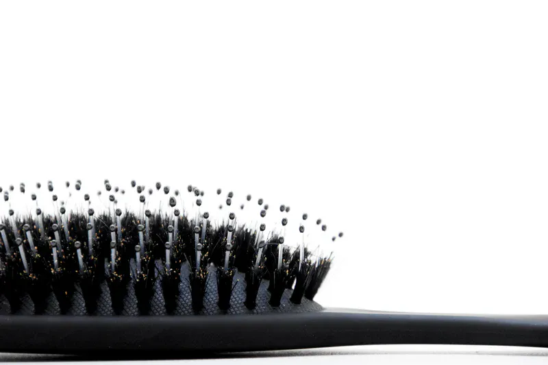 Belfort Brush