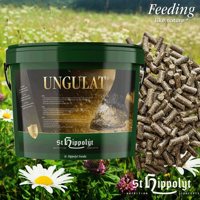 Hovedbilde Ungulat