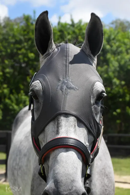 Fenwick Liquid Titanium maske